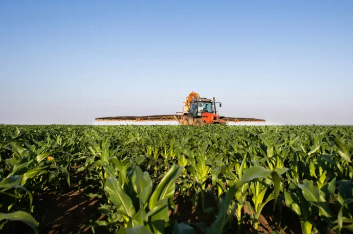 Malawi Agriculture & Agro-Processing malawi agriculture & agro-processing