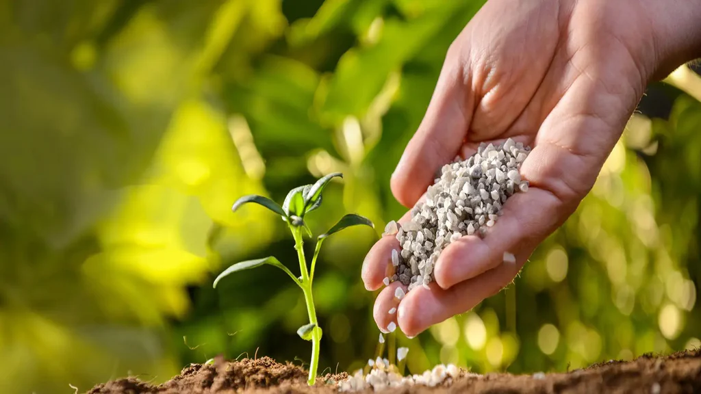 fertilizer fertilizer